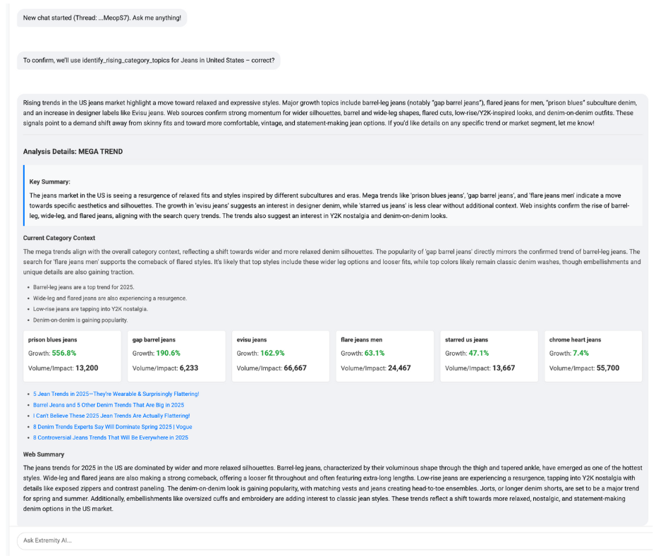 Extremity AI Chat Interface